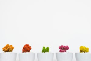 how to be a minimalist