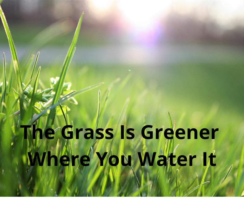 The Grass is Greener Where You Water It