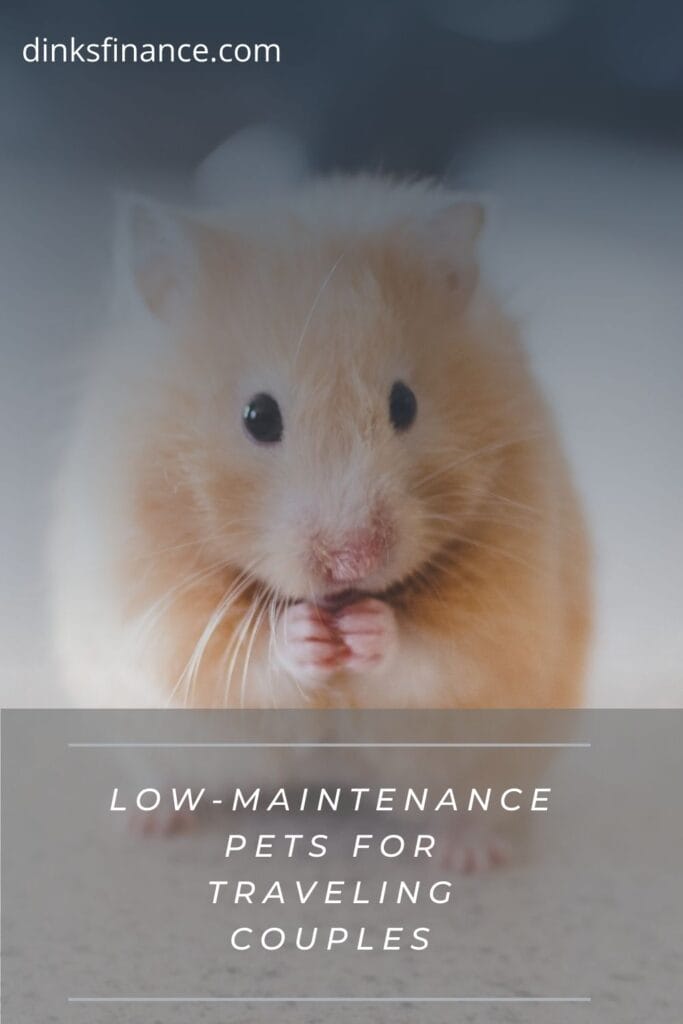 Low-Maintenance Pets for Traveling Couples
