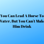 You can lead a horse to water, but you can't make him drink