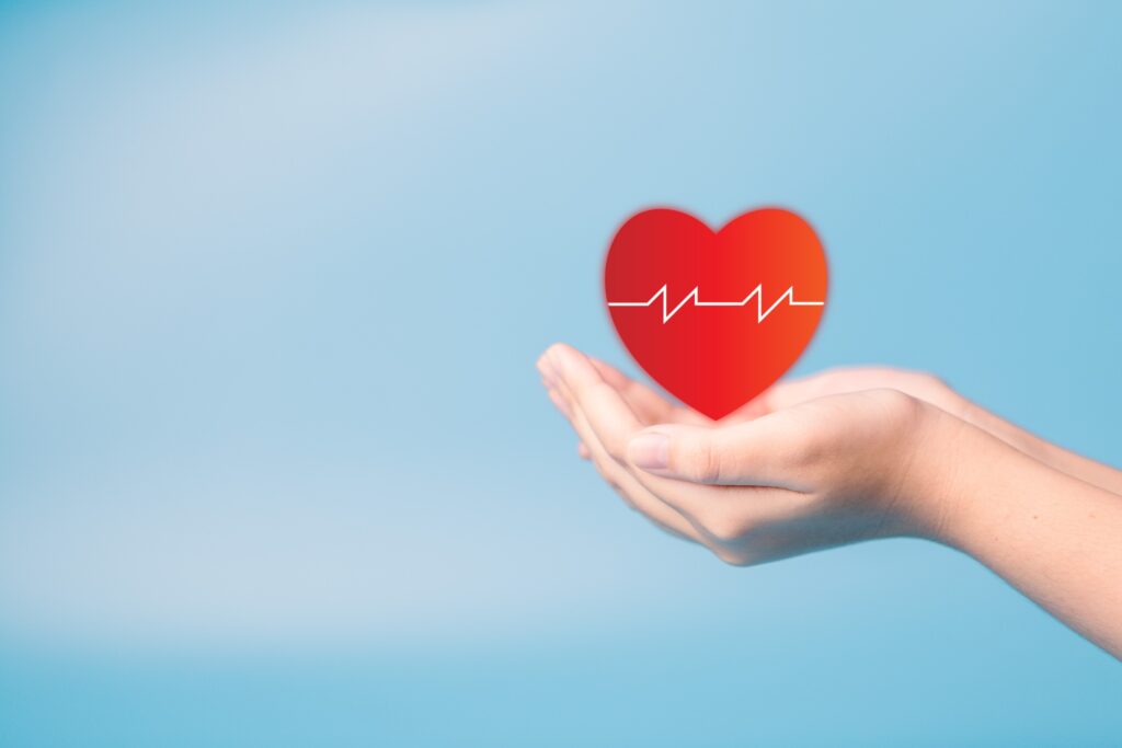 Cupped hands holding a red heart with a heart beat line through it.