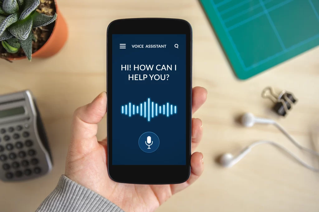 voice assistant