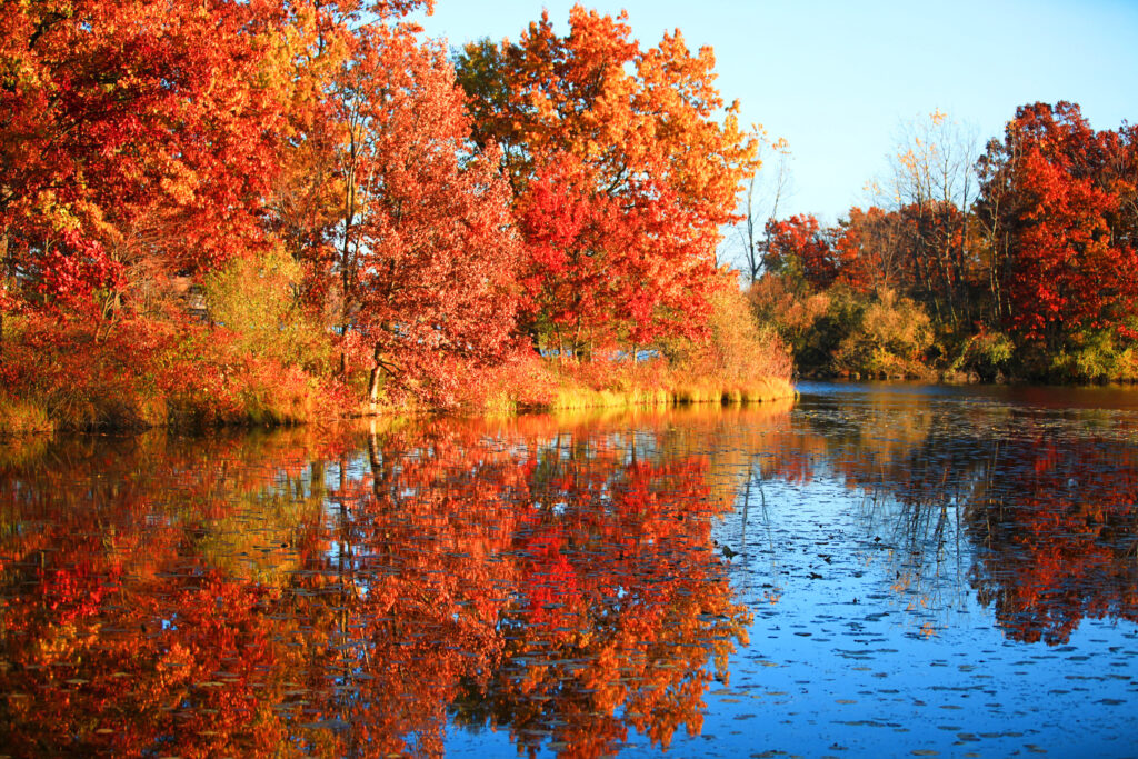  fall in Michigan