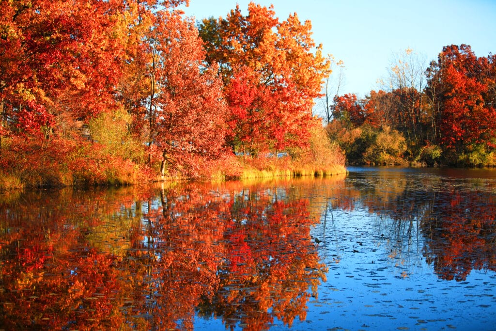  fall in Michigan