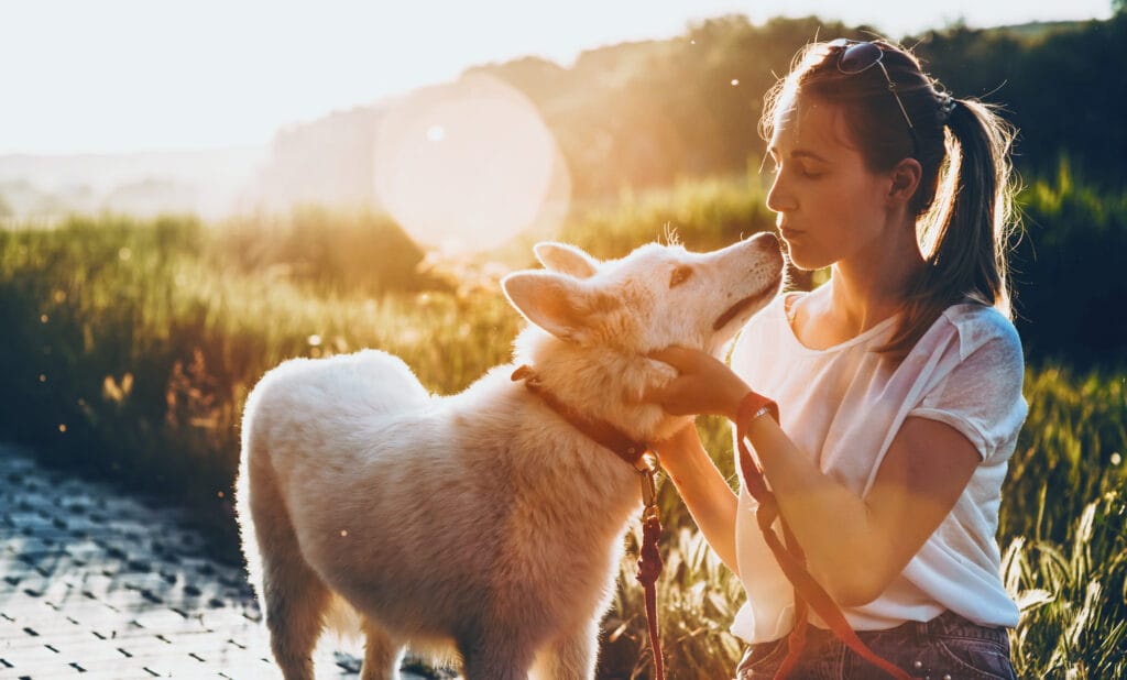 responsible pet ownership choices