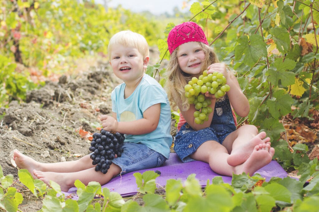 healthy eating for families