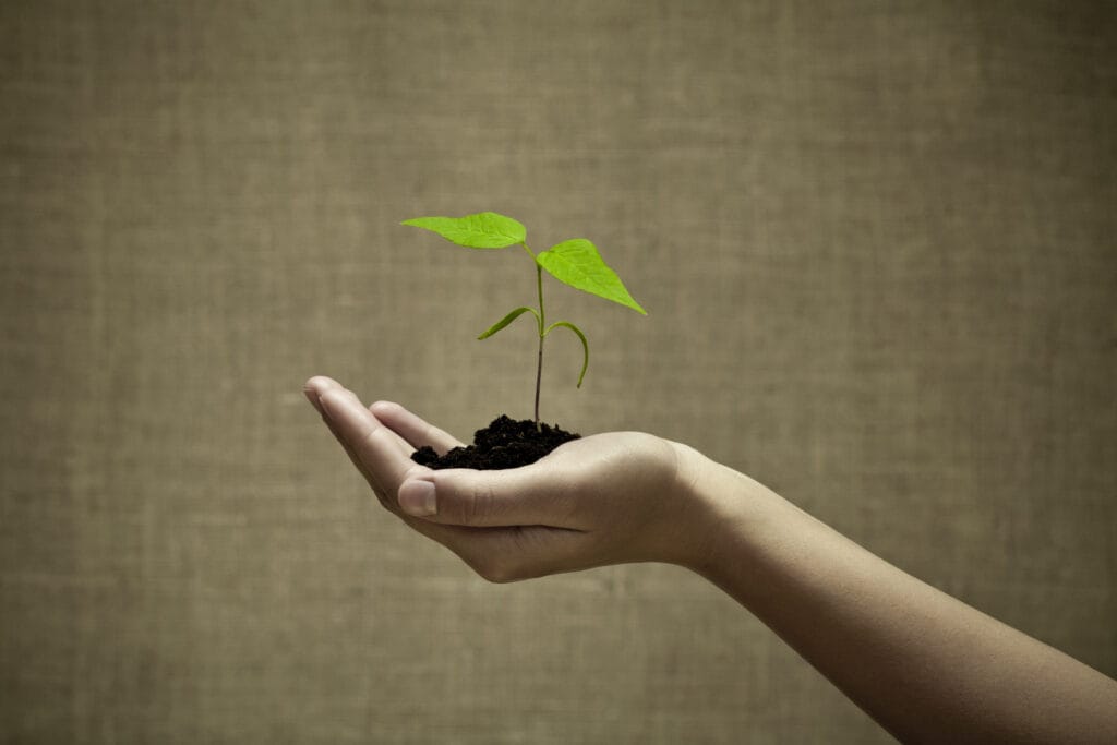 money management tips after divorce