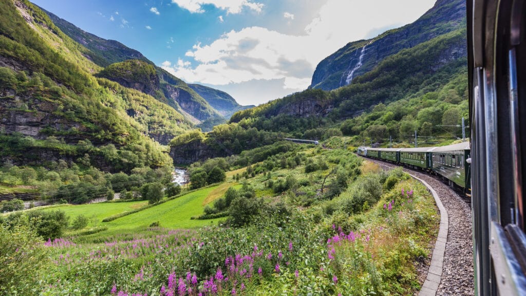 The Flåm 