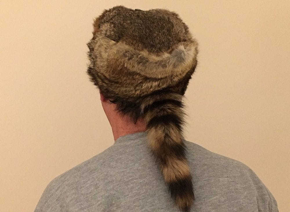coonskin cap
