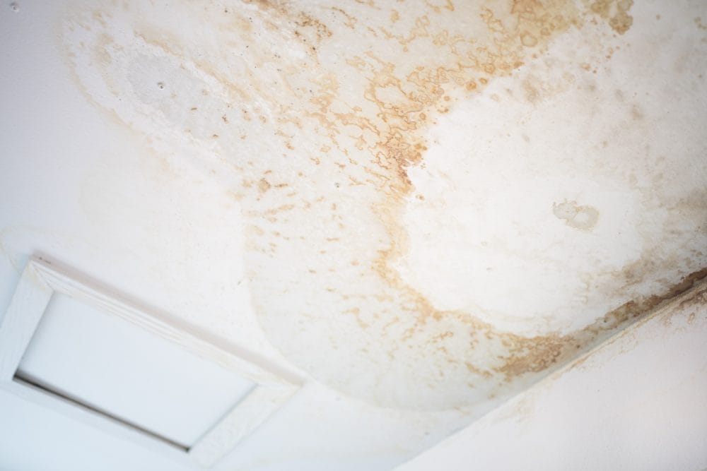 plumbing warning signs