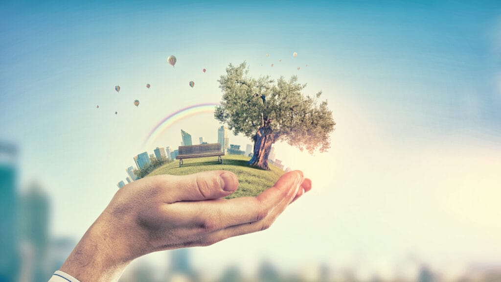 affordable eco-friendly products