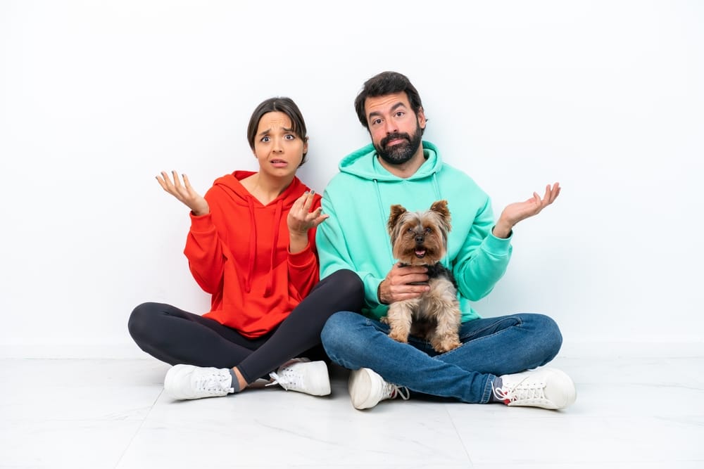 Why Two-Earner Partners Feel More Secure Yet Less Celebrated